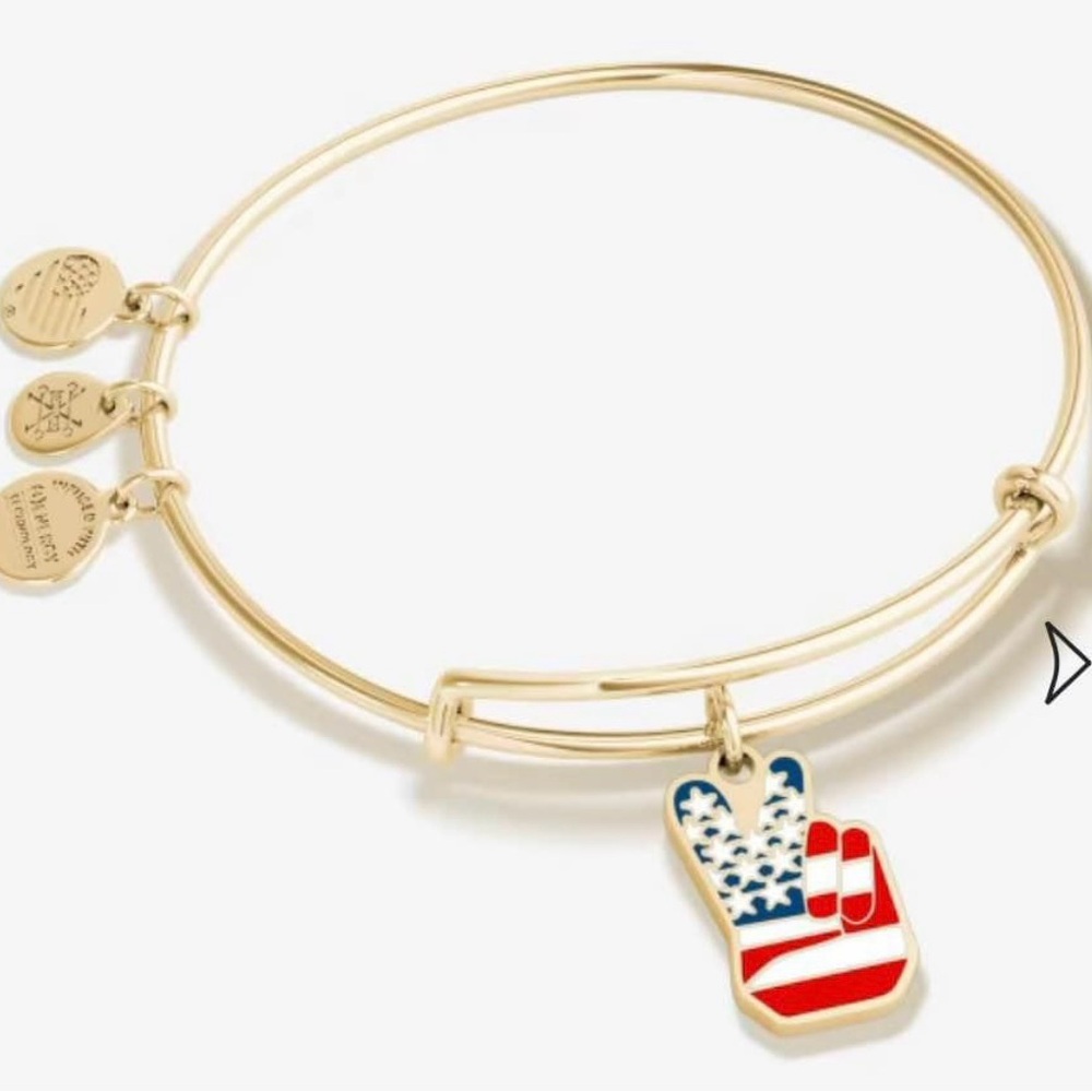 Alex and Ani Gold Bracelet with Peace Charm